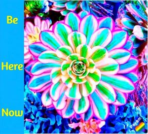 ./Be_Here_Now_s_1780126092410